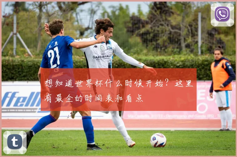 想知道世界杯什么时候开始？这里有最全的时间表和看点