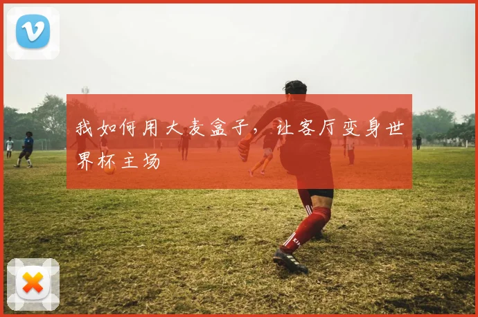 我如何用大麦盒子，让客厅变身世界杯主场