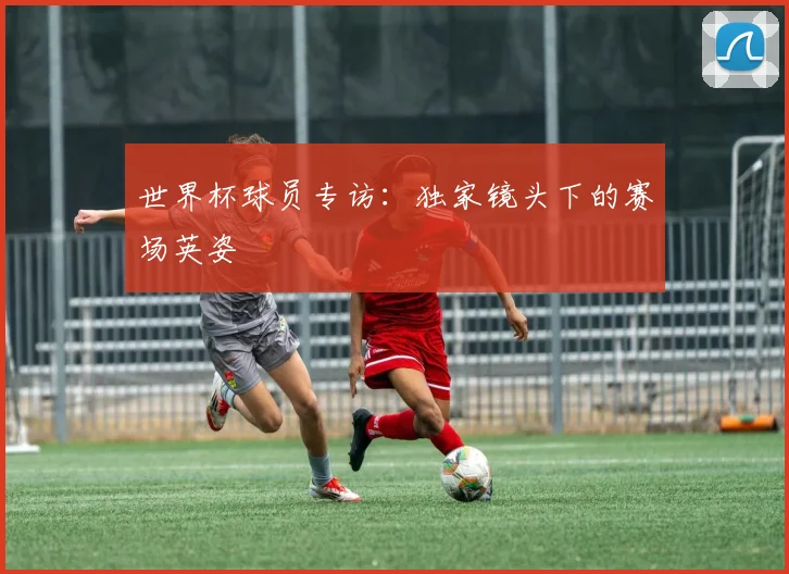 世界杯球员专访：独家镜头下的赛场英姿