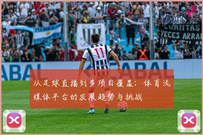 从足球直播到多项目覆盖：体育流媒体平台的发展趋势与挑战