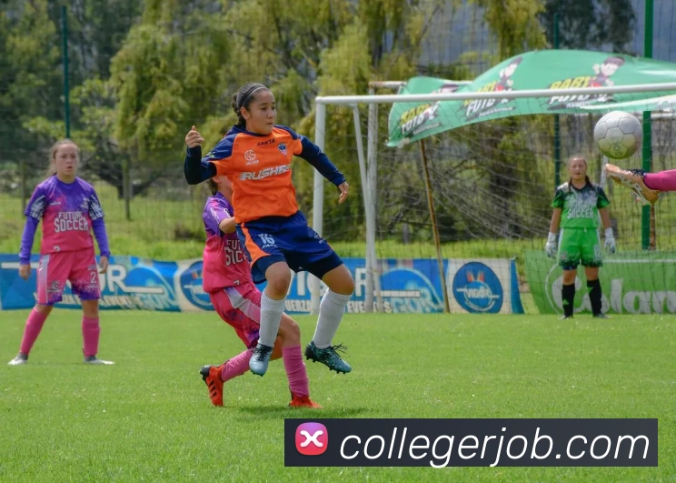 华会体育app官网品牌故事